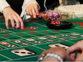 Bwin体育2024最新版